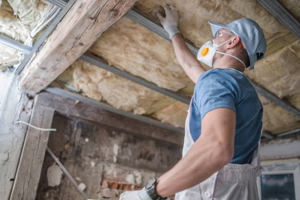 Best Insulation Installation Services in USA